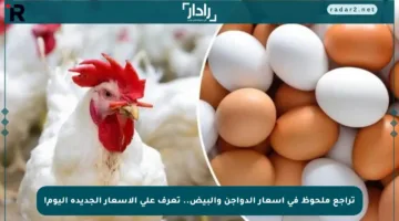 تراجع ملحوظ في أسعار الدواجن والبيض.. تعرف على الأسعار الجديدة اليوم!